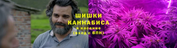 сатива Мегион