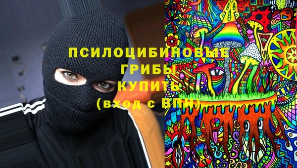 меф Медвежьегорск