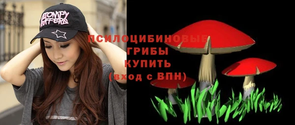 мдпв Михайлов