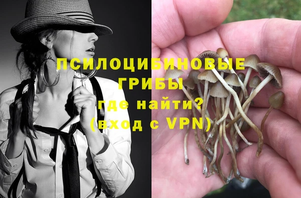 мдпв Михайлов