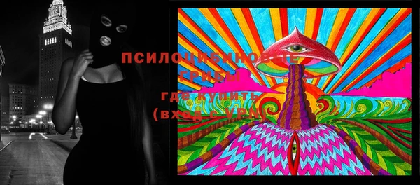 сатива Мегион