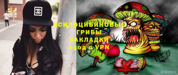 мдпв Михайлов