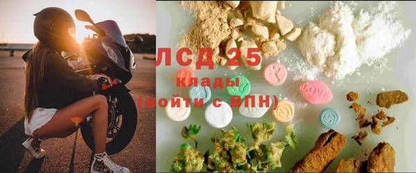 мдпв Михайлов