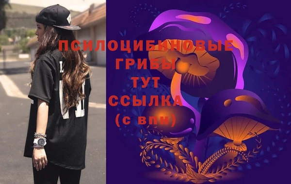 стафф Михайловка
