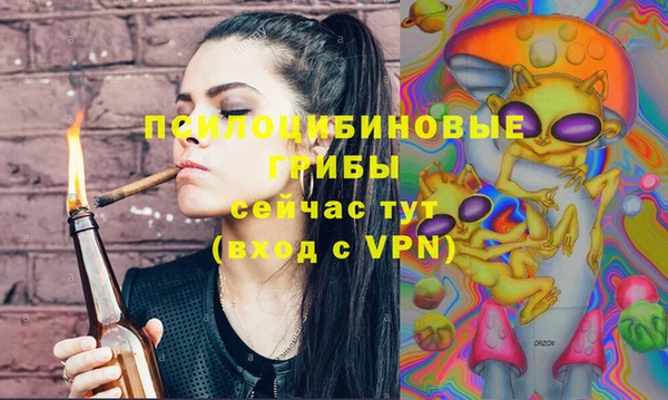 мдпв Михайлов