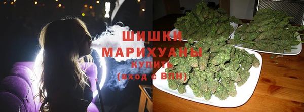 сатива Мегион