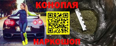 spice Гатчина