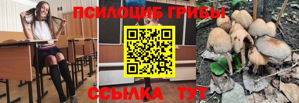 ГАШ Домодедово