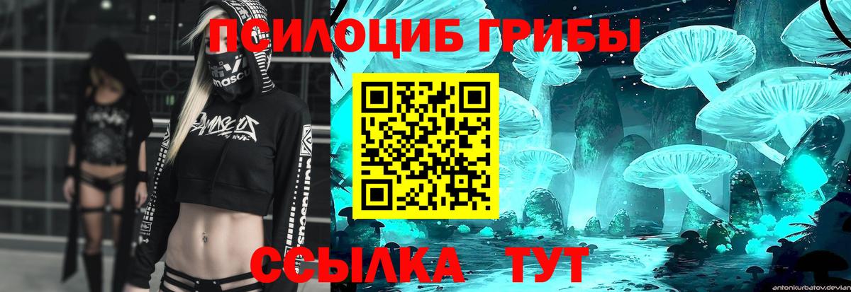 Домодедово  купить закладку  Вход с VPN  Псилоцибиновые грибы Psilocybe 